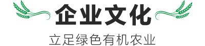 企業(yè)文化